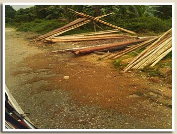 arrêt en forêt
